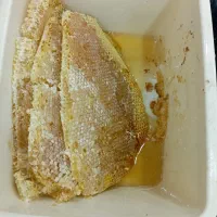 عسل طبیعی کوهستانهای چل چمه|عمده‌فروشی|مریوان, |دیوار