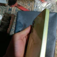 موبایل|موبایل|قشم, |دیوار