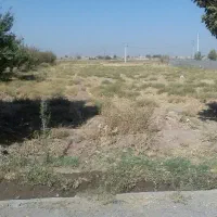 سه هزارمترزمین مشاهیر