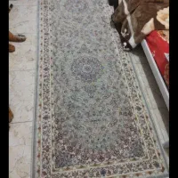 یک جفت دوازده متری با دو عدد کنار ه یک در سه