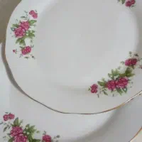 گلسرخی|ظروف سرو و پذیرایی|قم, قلعه کامکار|دیوار