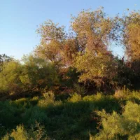 جویای کار یک تایم