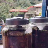 ترش و ملس|خوردنی و آشامیدنی|لاهیجان, یحی آباد|دیوار