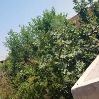 زمین مسکونی روستای حسن آباد
