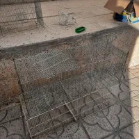 دوعدد جوجه پران ۶ عدد ساده|پرنده|اهر, |دیوار