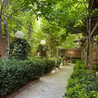 سالنکار قهوه خانه