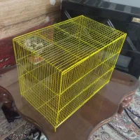 قفس پرنده و مرغ|لوازم جانبی حیوانات|مشکیندشت, |دیوار