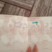 سگ خانگی|سگ|تکاب, |دیوار