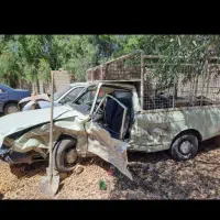 وانت تصادفی