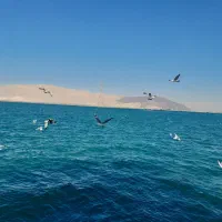 بلیط استخر زمزم