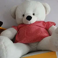 خرس بزرگ|اسباب‌بازی بچه|مشهد, عامل|دیوار