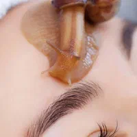 حلزون طبی اسکارگو مخصوص حلزون تراپی