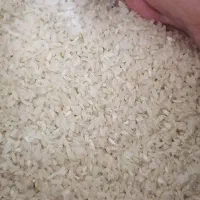 برنج کامفیروزی .نیم دانه