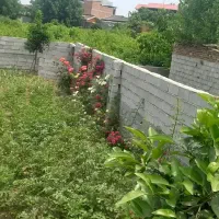 زمین ۱۵۴ متری بافت شهری پل هوایی ابتدای اندیشه ۴۳|فروش زمین و ملک کلنگی|قائم‌شهر, |دیوار