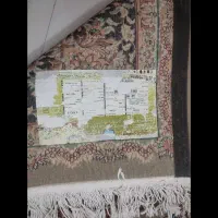 فرش 9 متری قالی سلیمان|فرش|شاهینشهر, عطار|دیوار