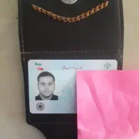 پیدا شده