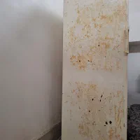 فریزر تک پارس|یخچال و فریزر|لاهیجان, کوی آزادگان|دیوار