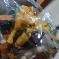 اسباب بازی|اسباب‌بازی بچه|مشهد, هنرستان|دیوار