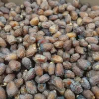 فروش عمده انواع خرما تازه جنوب|خوردنی و آشامیدنی|تهران, مخصوص|دیوار