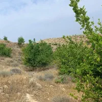 چرام باغ شمسوا ،شمس آباد فقط 500 تخفیف خوبی داره|فروش زمین و ملک کلنگی|چرام, |دیوار