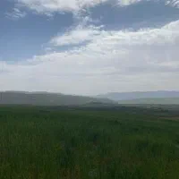 زمین-گلاب-دره
