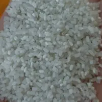 برنج نیم دانه