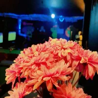 ملک تجاری زیر زمین|اجارهٔ مغازه و غرفه|فولادشهر, B4|دیوار