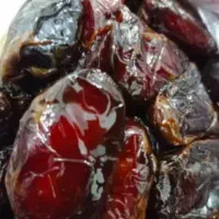 خرمای کبکاب|عمده‌فروشی|بوشهر, |دیوار