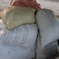 کود حیوانی