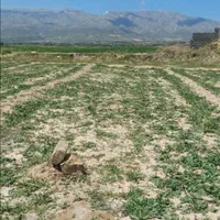 فروش زمین درروستای دره، سیاخ فاصله تاشهرنیم ساعت|فروش زمین و ملک کلنگی|شیراز, ریشمک|دیوار