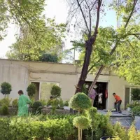 باغبانی هرس، پیوند، سمپاشی و طراحی فضای سبز و.