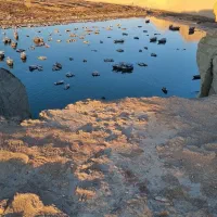 تور لیدر محلی|تور و چارتر|چابهار, |دیوار