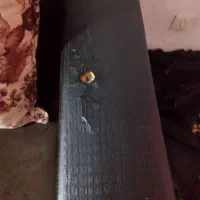 مبلمان هشت نفره به دلیل مهاجرت|مبلمان خانگی و میز عسلی|هشتگرد, سیف آباد|دیوار