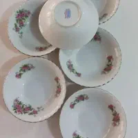 پخت پز و قابلمه ظرف گلسرخی