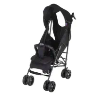 کالسکه عصایی