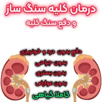 سنگ کلیه، سنگ شکن گیاهی