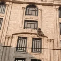 پیچ رولپلاک نما|خدمات پیشه و مهارت|تهران, شمس‌آباد|دیوار