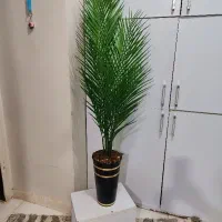 گلها و درختچه های مصنوعی|گل مصنوعی|رباط‌کریم, رباط‌کریم|دیوار