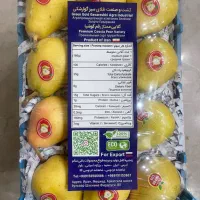 نهالستان تخصصی طلای سبز گوارشکی نهال پایه رویشی|خدمات باغبانی و درختکاری|مشهد, توس فردوسی|دیوار