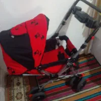 کالاسکه نوزاد ،کریر وروروئک