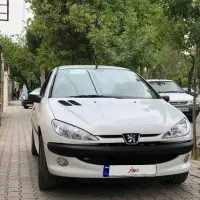 پژو ۲۰۶ sd V8 دوگانه شرکتی