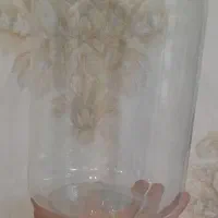 تنگ ماهی و شمع