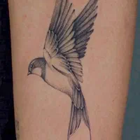 آموزش تتوبدن