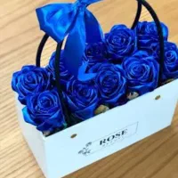رز ربانی|گل مصنوعی|جیرفت, |دیوار