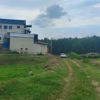 باغ مرکبات با لوکیشن جنگلی