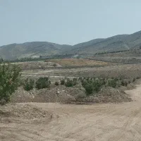 باغچه باغ مقصودآباد جهرم|فروش دفتر صنعتی، کشاورزی، تجاری|جهرم, |دیوار