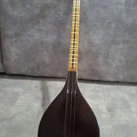 سه تار  حرفه ای استاد پالیزدار