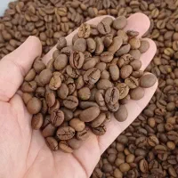 دان قهوه میکس ۱۰۰ روبوستا و ۷۰/۳۰مناسب ترین قیمت|عمده‌فروشی|تهران, تهرانسر مرکزی|دیوار