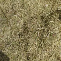 خار کوبیده