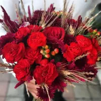 انواع جام وباکس گل رزهلندی زیبا وخواص شاخه ۵۰